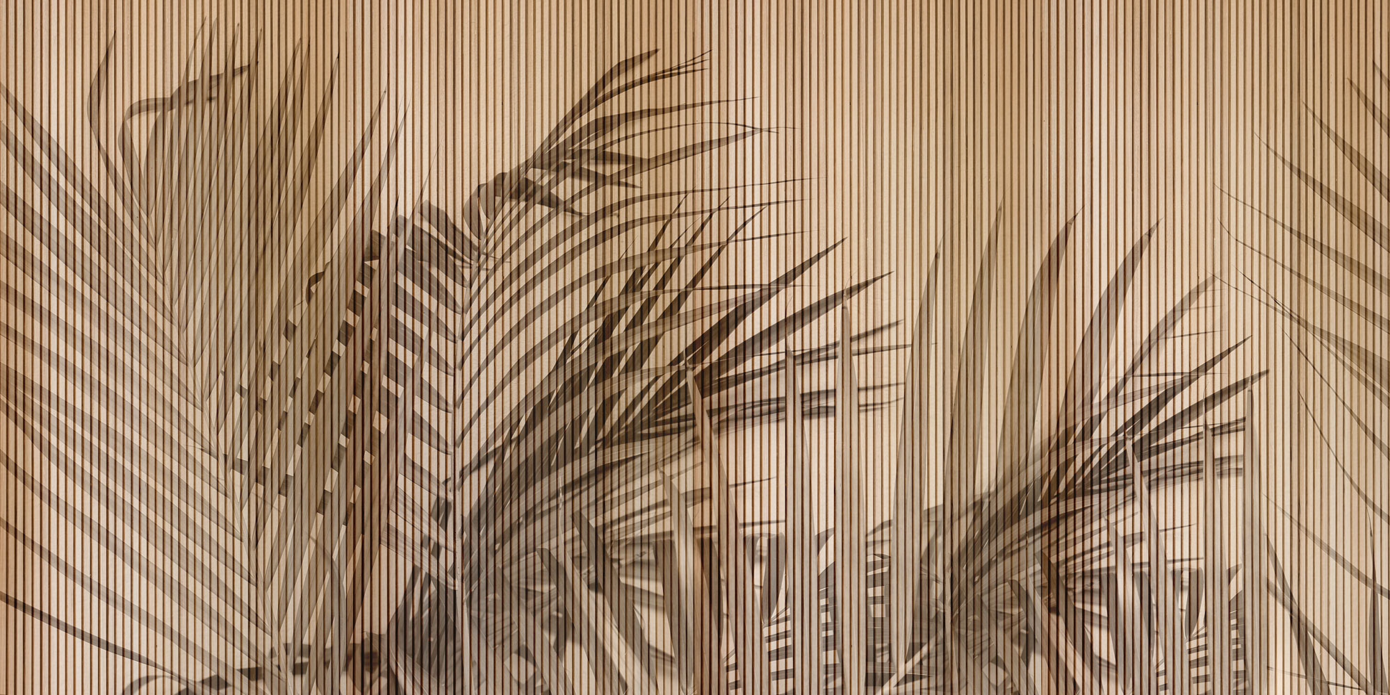 Carta da Parati Shadowstick